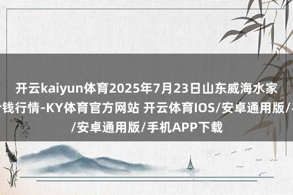 开云kaiyun体育2025年7月23日山东威海水家具批发阛阓价钱行情-KY体育官方网站 开云体育IOS/安卓通用版/手机APP下载
