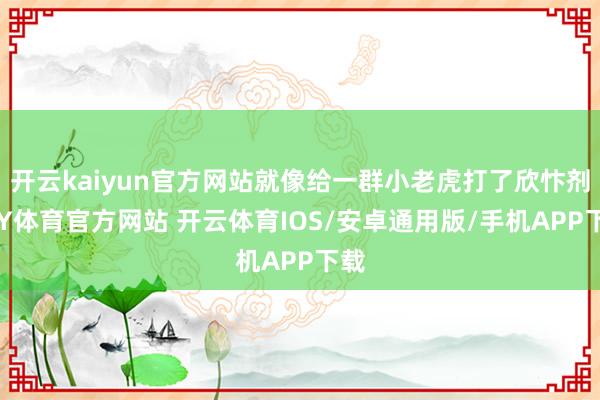 开云kaiyun官方网站就像给一群小老虎打了欣忭剂-KY体育官方网站 开云体育IOS/安卓通用版/手机APP下载