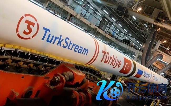 “土耳其溪”被进攻将带来什么影响 动力安全受威迫