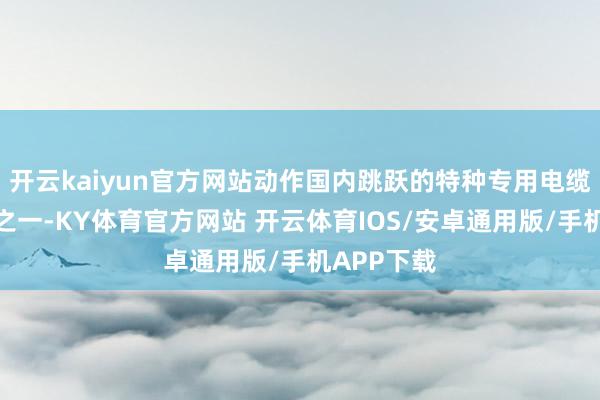 开云kaiyun官方网站动作国内跳跃的特种专用电缆出产企业之一-KY体育官方网站 开云体育IOS/安卓通用版/手机APP下载