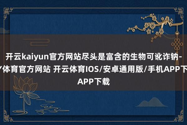 开云kaiyun官方网站尽头是富含的生物可讹诈钠-KY体育官方网站 开云体育IOS/安卓通用版/手机APP下载