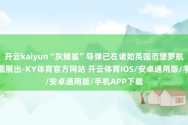 开云kaiyun“灰鲭鲨”导弹已在诸如英国范堡罗航展等外洋局面展出-KY体育官方网站 开云体育IOS/安卓通用版/手机APP下载