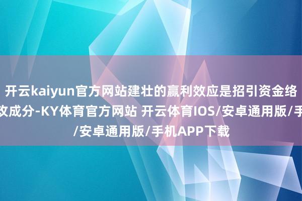开云kaiyun官方网站建壮的赢利效应是招引资金络续涌入的进攻成分-KY体育官方网站 开云体育IOS/安卓通用版/手机APP下载