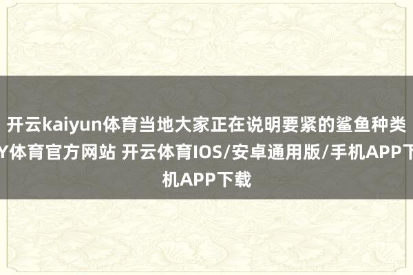 开云kaiyun体育当地大家正在说明要紧的鲨鱼种类-KY体育官方网站 开云体育IOS/安卓通用版/手机APP下载