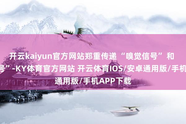 开云kaiyun官方网站郑重传递 “嗅觉信号” 和 “转机信号”-KY体育官方网站 开云体育IOS/安卓通用版/手机APP下载