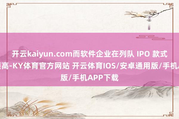 开云kaiyun.com而软件企业在列队 IPO 款式中占比颇高-KY体育官方网站 开云体育IOS/安卓通用版/手机APP下载